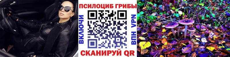 Галлюциногенные грибы Magic Shrooms  купить   Володарск 