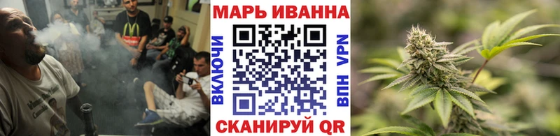 Конопля сатива  Володарск 